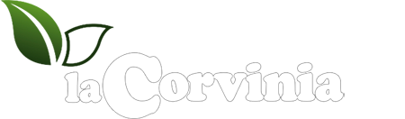 La Corvinia